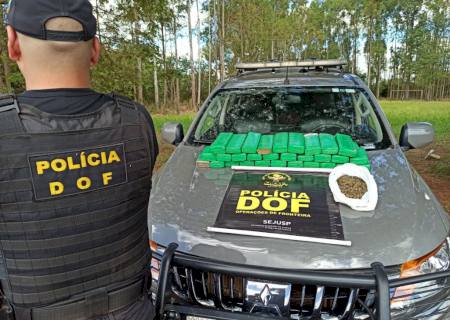 DOF encontra bolsa cheia de drogas em milharal na região de Laguna Carapã