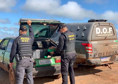 Entorpecente com destino a cidade de Ivinhema é interceptado pelo DOF em Laguna Carapã