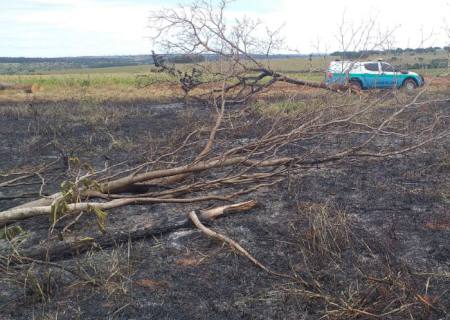 Em Anaurilândia, paranaense é autuado em R$ 49 mil por incêndio em vegetação