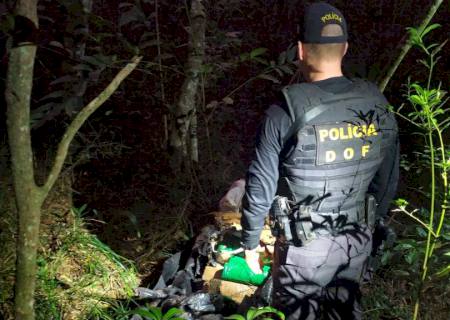 Vídeo: DOF encontra 72 kg de maconha abandonada em matagal na região de Laguna Carapã