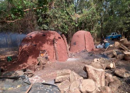 Em Amandina, Polícia Militar Ambiental fecha carvoaria ilegal