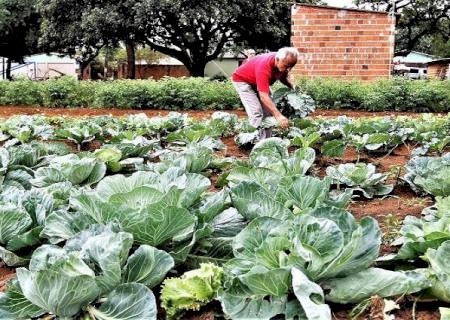 Governo vai auxiliar União na regularização de 30 mil títulos de terra da agricultura familiar em MS