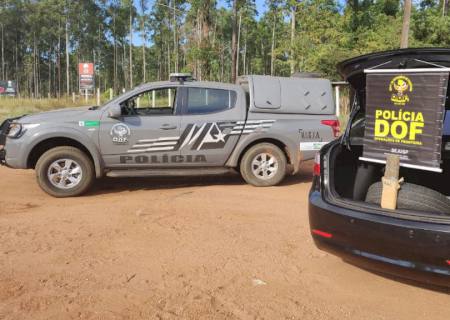 Carro com mais de 50 kg de maconha que seguia para São Paulo é apreendido pelo DOF em Ponta Porã