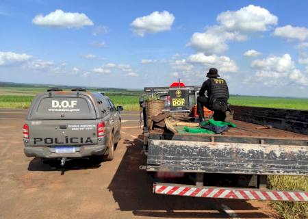 Mulher é presa transportando mais de meia tonelada de maconha na MS-289