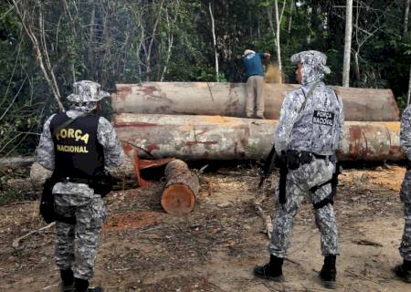 Governo autoriza Forças Armadas a combater desmatamento em Mato Grosso