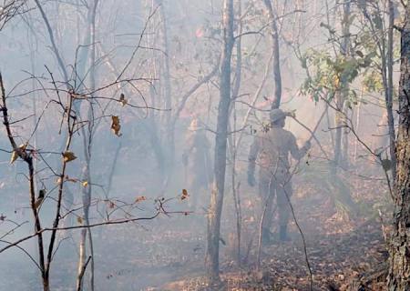 Corpo de Bombeiros Militar monitora incêndios com imagens de satélite e amplia fiscalização em áreas de focos