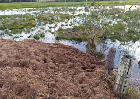 Sitiante é multado em R$ 6 mil por degradar área protegida de matas ciliares de lago em Anaurilândia