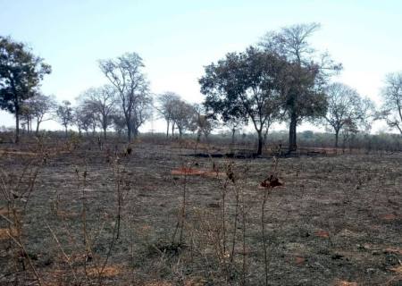 Incêndio em propriedade rural gera multa de R$ 16 mil a sitiante em Três Lagoas