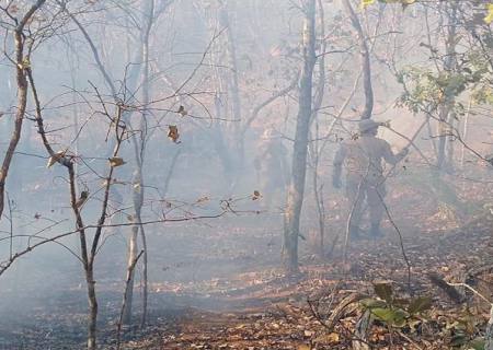 Queima controlada no Pantanal está suspensa até 30 de outubro