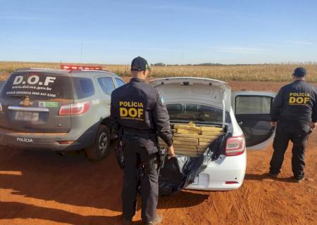 Vídeo: Homem é preso com 450 kg de maconha em Maracaju