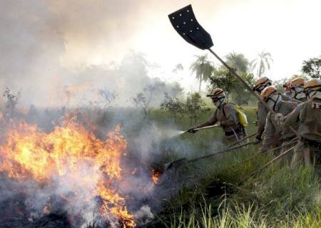 Seis municípios de Mato Grosso do Sul entram em situação de emergência por incêndios florestais