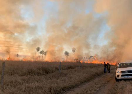 Vídeo: Incêndio devasta pastos e causa prejuízo para fauna e flora em Taquarussu