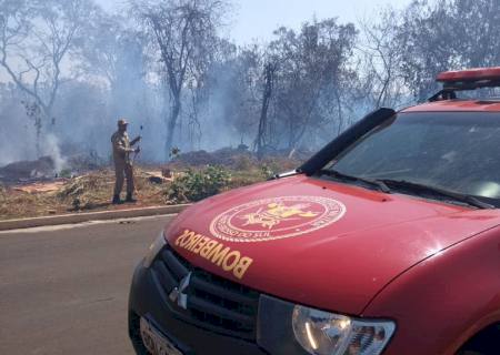 Vídeo: Fogo consome mata e terrenos baldios em Nova Andradina