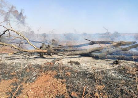 Vídeo: Infrator é multado em R$ 12 mil por incêndio em pastagem na fazenda em Ribas do Rio Pardo