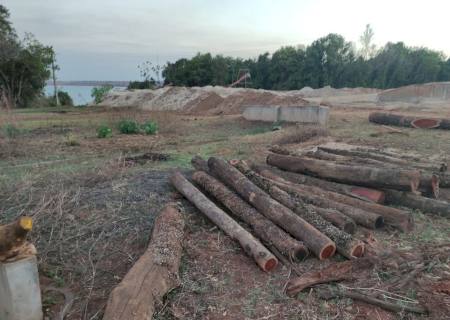 Polícia Ambiental autua dois infratores por furto e exploração de madeira submersa em MS