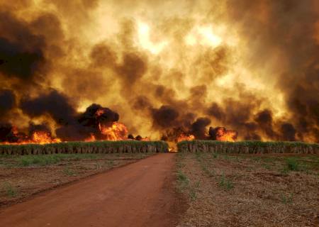 Vídeo: Estiagem severa registra 26 ocorrências de incêndio em vegetação no mês de agosto em Nova Andradina