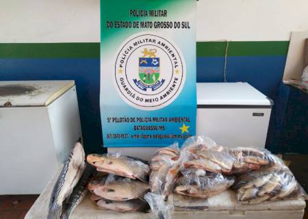 Vídeo: Polícia Ambiental prende e autua paranaense por pesca e transporte de pescado ilegal