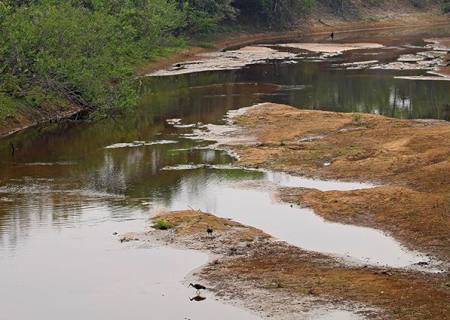 Com mais baixa estação chuvosa em 10 anos, Pantanal já tem 80% das propriedades afetadas