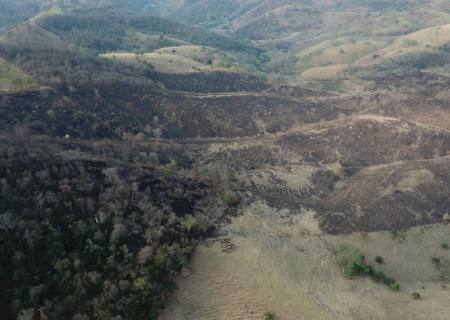 Assentado é autuado em R$ 60 mil por incêndio no Pantanal