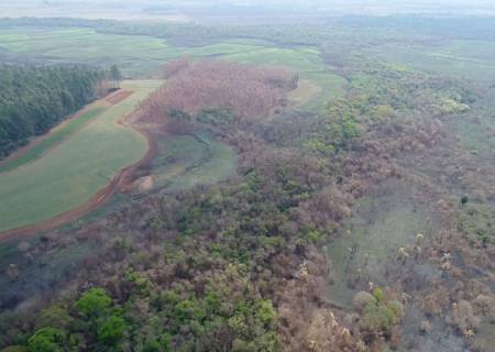 Usina sucroenérgética é multada em R$ 1,7 milhão por incêndio florestal em MS