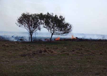 Paulista é multado em R$ 22 mil por incêndio em pastagem na zona rural de Bataguassu