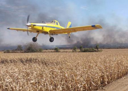 Combate aos incêndios no Pantanal mobiliza 510 homens e seis aeronaves