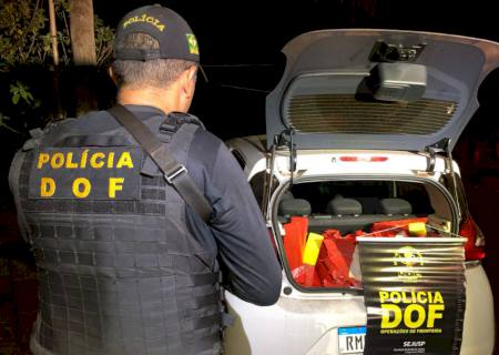 Vídeo: DOF encontra e apreende 670 kg de maconha em Douradina