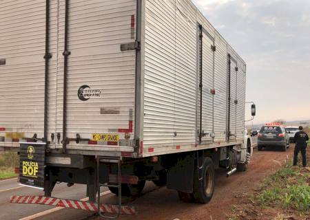 Vídeo: DOF apreende 464 kg de maconha em meio a carga de sementes em Maracaju