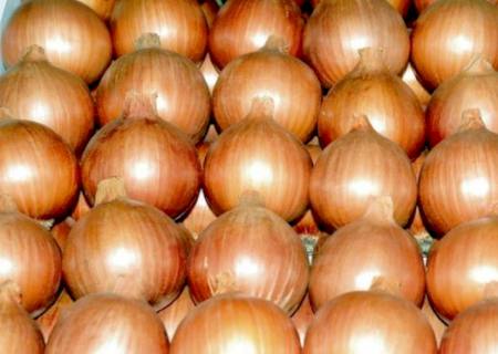 Ação do Governo do Estado beneficia produtos hortifrutigranjeiros comercializados em MS