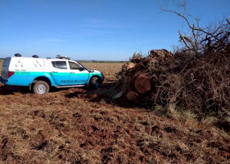 Em Anaurilândia, paulista é autuado em R$ 25,5 mil por crimes ambientais