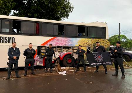 Com apoio do Grupo de Operações com Cães, ônibus abarrotado de maconha e aprendido em Juti