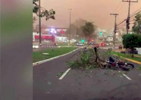 Vídeo: Motociclista é atingido por árvore em vendaval e fica gravemente ferido em Campo Grande