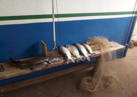 Polícia Ambiental prende pescador por pesca predatória no rio Dourados