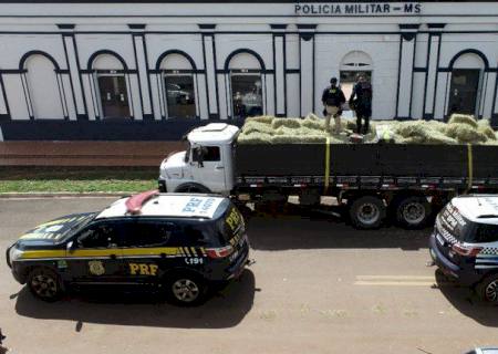 Ação conjunta da PRF e PM apreende 7 toneladas de maconha em Bela Vista