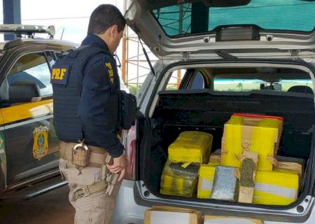 Homem é preso com quase 200 kg de maconha após apresentar nervosismo na frente da PRF