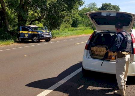 PRF apreende veículo com placas falsas e quase meia tonelada de maconha em MS