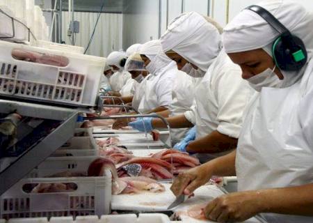 Maior exportador de tilápia do país, MS supera pandemia e vendas externas crescem 10,49% em 2020