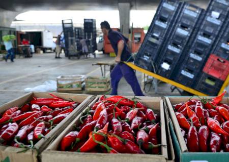 Mapa: 89% dos vegetais comercializados são seguros para consumo