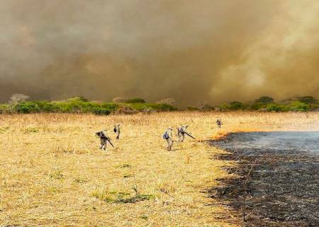 Pesquisadores da UEMS analisam fogo histórico no Pantanal