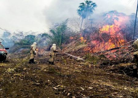 Bombeiros Militares encerram ''Operação Hefesto'' nesta terça-feira (23)