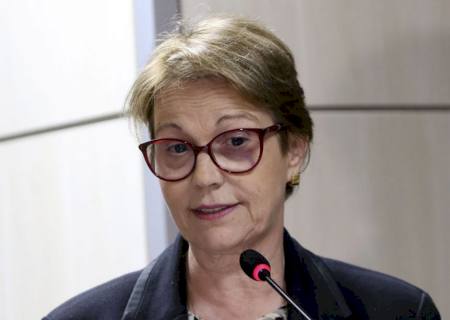 Ministra: pecuária tem papel fundamental na agenda climática mundial