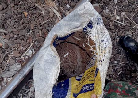 PMA de Aquidauana prende dois pescadores utilizando tarrafa em cachoeira