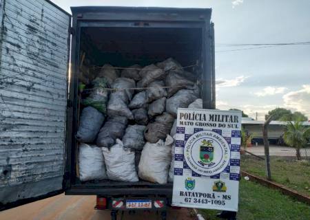 Polícia Ambiental apreende caminhão baú com carga ilegal de carvão em Nova Andradina