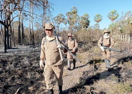 Focos de calor na região do Pantanal reduzem em 42% no mês de julho com a forte presença dos bombeiros