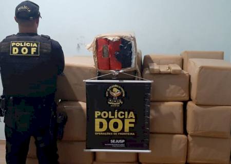 DOF fecha entreposto de droga e apreende quase uma tonelada de maconha