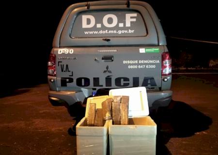 DOF apreende 41 kg de maconha que seguia por encomenda para Campo Grande