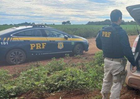 PRF apreende carro abandonado com 702 kg de maconha em Terenos