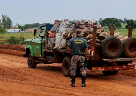 Polícia Ambiental apreende caminhão com carvão e lenha ilegais em Itaquiraí