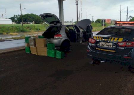 Vídeo: Ministra Damares presencia apreensão de 267 kg de maconha em Ponta Porã