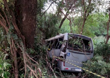 Acidente com micro-ônibus escolar deixa 7 mortos e 15 feridos no Paraná